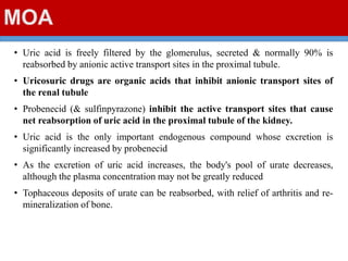 MOA
• Uric acid is freely filtered by the glomerulus, secreted & normally 90% is
reabsorbed by anionic active transport sites in the proximal tubule.
• Uricosuric drugs are organic acids that inhibit anionic transport sites of
the renal tubule
• Probenecid (& sulfinpyrazone) inhibit the active transport sites that cause
net reabsorption of uric acid in the proximal tubule of the kidney.
• Uric acid is the only important endogenous compound whose excretion is
significantly increased by probenecid
• As the excretion of uric acid increases, the body's pool of urate decreases,
although the plasma concentration may not be greatly reduced
• Tophaceous deposits of urate can be reabsorbed, with relief of arthritis and re-
mineralization of bone.
 