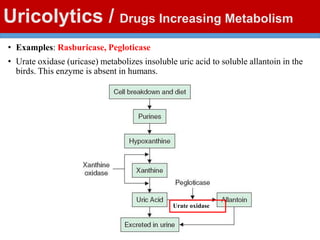 Uricolytics / Drugs Increasing Metabolism
• Examples: Rasburicase, Pegloticase
• Urate oxidase (uricase) metabolizes insoluble uric acid to soluble allantoin in the
birds. This enzyme is absent in humans.
Urate oxidase
 