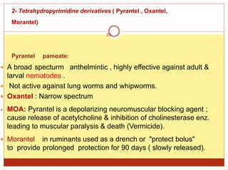 2- Tetrahydropyrimidine derivatives ( Pyrantel , Oxantel,
Morantel)
30
Pyrantel pamoate:
 A broad specturm anthelmintic , highly effective against adult &
larval nematodes .
 Not active against lung worms and whipworms.
 Oxantel : Narrow spectrum
 MOA: Pyrantel is a depolarizing neuromuscular blocking agent ;
cause release of acetylcholine & inhibition of cholinesterase enz.
leading to muscular paralysis & death (Vermicide).
 Morantel in ruminants used as a drench or "protect bolus"
to provide prolonged protection for 90 days ( slowly released).
 