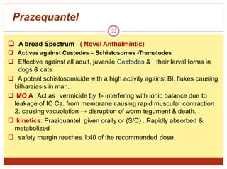 Prazequantel
22
 A broad Spectrum ( Novel Anthelmintic)
 Actives against Cestodes – Schistosomes -Trematodes
 Effective against all adult, juvenile Cestodes & their larval forms in
dogs & cats
 A potent schistosomicide with a high activity against Bl. flukes causing
bilharziasis in man.
 MO A :Act as vermicide by 1- interfering with ionic balance due to
leakage of IC Ca. from membrane causing rapid muscular contraction
2. causing vacuolation → disruption of worm tegument & death. .
 kinetics: Praziquantel given orally or (S/C) . Rapidly absorbed &
metabolized
 safety margin reaches 1:40 of the recommended dose.
 