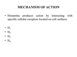 Comprehensive Overview of Drugs Used in Allergic Reactions and ...