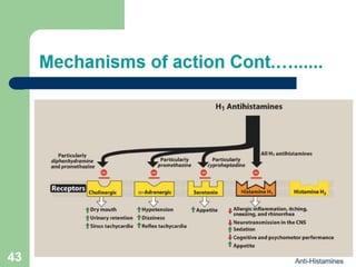 Anti-Histamine drugs {Pharmacology} | PDF