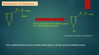 Metabolism of histamine
First it undergoes n-menthylation by means
of n-methyl transferase enzyme
• This n-methyl transferase enzyme transfers methyl group to nitrogen group in imidazole nucleus
N-methyl-imidazole-4-ethylamine
 