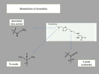 Metabolism of nizatidine
desmethyl
(less active)
N
CH3H3C
O
N-oxide
N
H
CH3
S
O
S-oxide
(sulfoxide)
50
 
