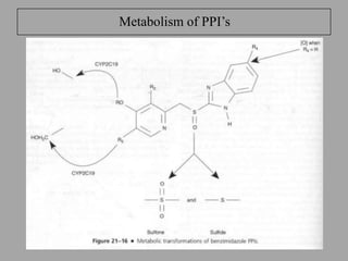 Metabolism of PPI’s
58
 