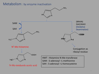 Metabolism : by enzyme inactivation
6
NHN
NH2
NN
NH2
H3C NHN
COOH
Conjugation as
ribosyl residue
NƮ-Me-histamine
SAM
SAH
(BRAIN)
DAO/MAO
(Oxidative
Deamination)
NN
COOH
H3C
N-Me-imidazole acetic acid
HMT : Histamine N-Me-transferase
SAM : S-adenosyl –L-methionine
SAH : S-adenosyl –L-homocysteine
 