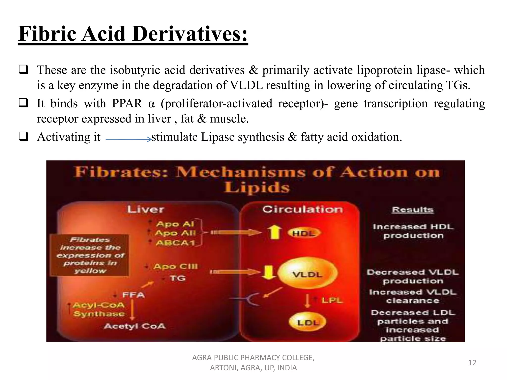 Anti hyperlipidemic drugs | PDF