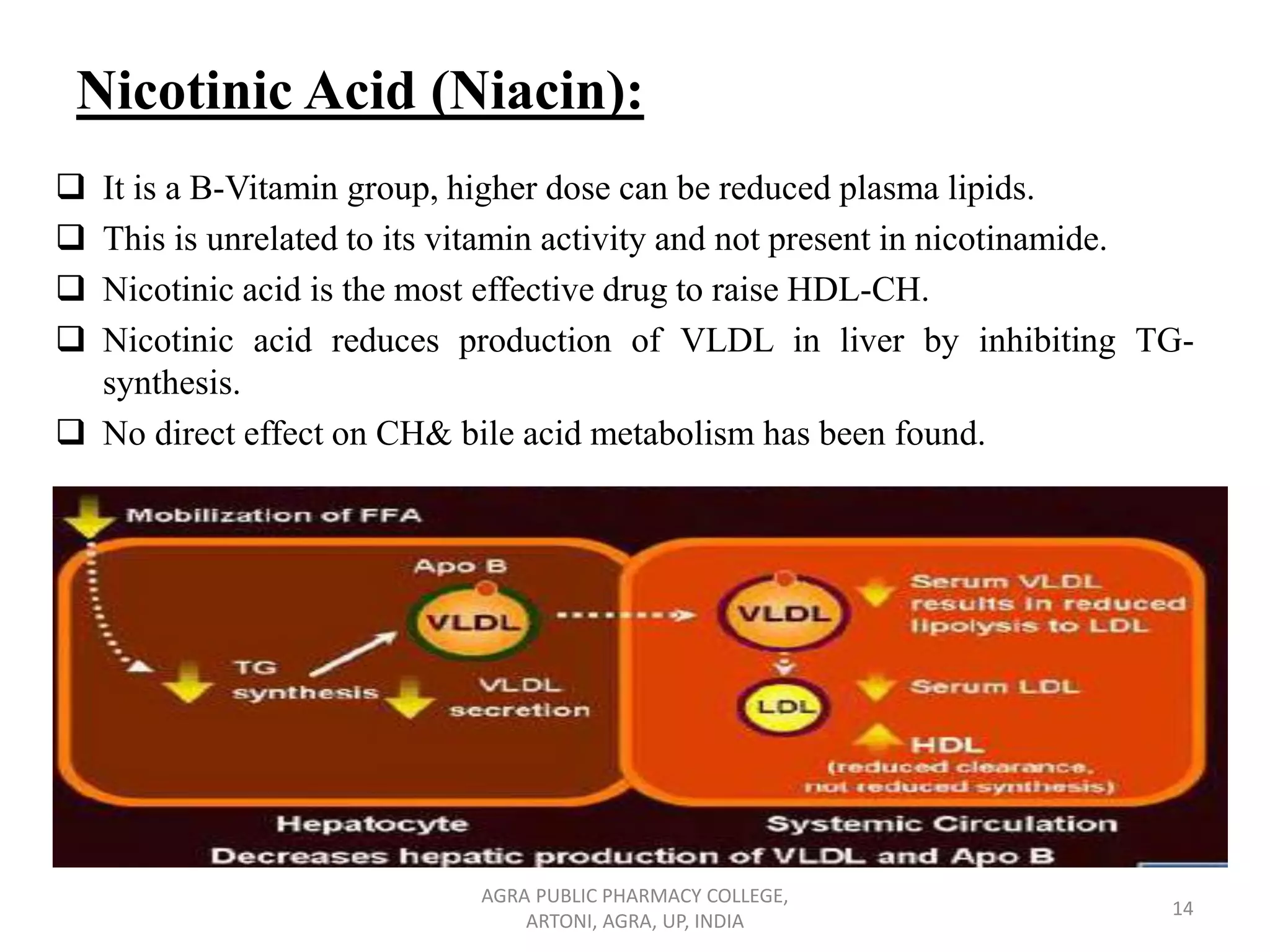 Anti hyperlipidemic drugs | PDF