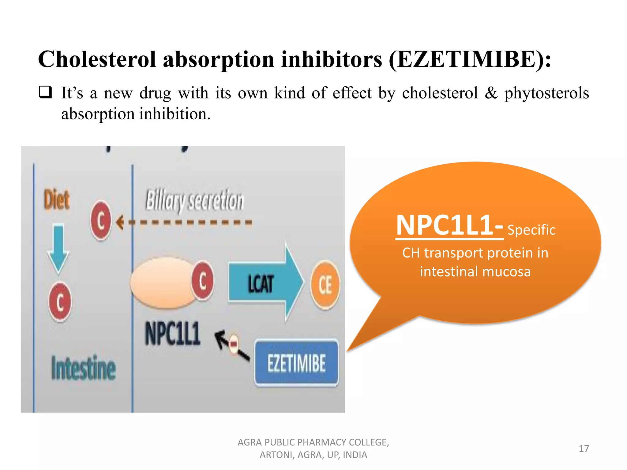 Anti hyperlipidemic drugs | PDF