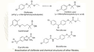 Bioactivation of clofibrate and chemical structures of other fibrates.
 
