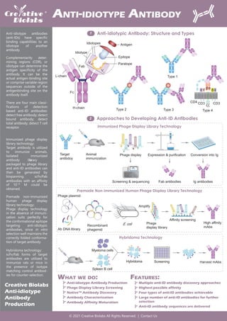 Anti-idiotype antibodies
(anti-IDs) have speciﬁc
binding capabilities to an
idiotope of another
antibody.
Anti-idiotypic Antibody: Structure and Types
Approaches to Developing Anti-ID Antibodies
1
Immunized phage display
library technology:
Target antibody is utilized
to immunize animals.
Isolated immunized
library
Multiple anti-ID antibody discovery approaches
Highest possible affinity
Four types of anti-ID antibodies achievable
Large number of anti-ID antibodies for further
selection
Anti-ID antibody sequences are delivered
FEATURES:
ANTI-IDIOTYPE ANTIBODY
Creative Biolabs
Anti-idiotype
Antibody
Production
WHAT WE DO:
© 2021 Creative Biolabs All Rights Reserved. | Contact Us
α
β
γ
ε ε
δ
ζ
CD3
CD4 CD3
ζ
Antigen
Epitope
Paratope
Idiotype
Idiotopes
VH
VL
Fab
L-chain
Fc
H-chain
Complementarity deter-
mining regions (CDR), or
idiotype can determine the
antigen speciﬁcity of the
antibody. It can be the
actual antigen-binding site
or comprise variable region
sequences outside of the
antigenbinding site on the
antibody itself.
There are four main classi-
ﬁcations of detection
based anti-ID antibodies:
detect free antibody; detect
bound antibody; detect
total antibody; detect T cell
receptor.
Type 1
Type 2 Type 3 Type 4
Welcome
Target
antibdoy
Animal
immunization
Phage display
Screening & sequencing
Expression & purification
Fab antibodies
Conversion into Ig
Ig antibodies
Ab DNA library
Phage plasmid
Recombinant
phagemid
High affinity
mAbs
Affinity screening
Phage
display library
Amplify
E. coli
Screening
Myeloma cells
Hybridoma
Spleen B cell
Harvest mAbs
antibody is
packaged to phage library
and anti-ID antibodies can
then be generated by
biopanning. scFv/Fab
antibodies with an aﬃnity
of 10-10
M could be
obtained.
Premade non-immunized
human phage display
library technology:
Phage display technology
in the absence of immuni-
zation suits perfectly for
the conformational epitope
targeting anti-idiotypic
antibodies, since in vitro
selection well maintains the
correctly folded conforma-
tion of target antibody.
Hybridoma technology:
scFv/Fab forms of target
antibodies are utilized to
immunize rats or mice in
the presence of isotype
matching control antibod-
ies for counter-selection.
Anti-idiotype Antibody Production
Phage Display Library Screening
Native™ Antibody Discovery
Antibody Characterization
Antibody Affinity Maturation
2
Hybridoma Technology
Premade Non-immunized Human Phage Display Library Technology
Immunized Phage Display Library Technology
 