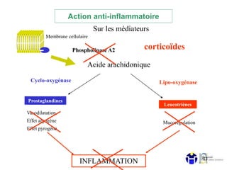 Action anti-inflammatoire
Membrane cellulaire
corticoïdes
Acide arachidonique
Prostaglandines
Vasodilatation,
Effet algogène
Effet pyrogène
Phospholipase A2
Leucotriènes
Mucorégulation
INFLAMMATION
Lipo-oxygénaseCyclo-oxygénase
Sur les médiateurs
13
 