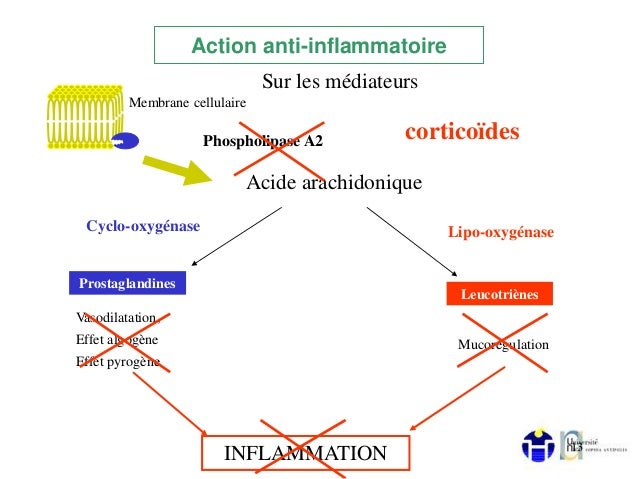 Anti inflammatoires stéroïdiens