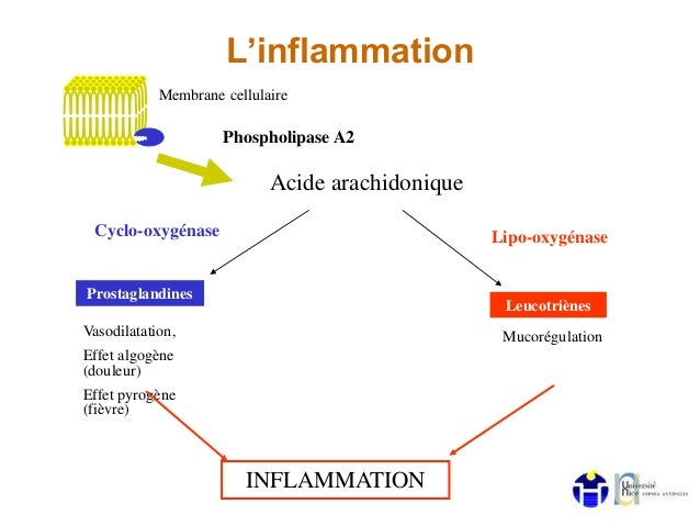 Anti inflammatoires stéroïdiens