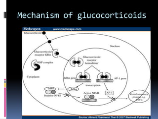 Mechanism of glucocorticoids
 