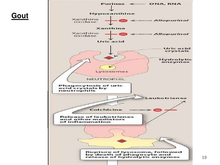 Anti inflammatory drugs