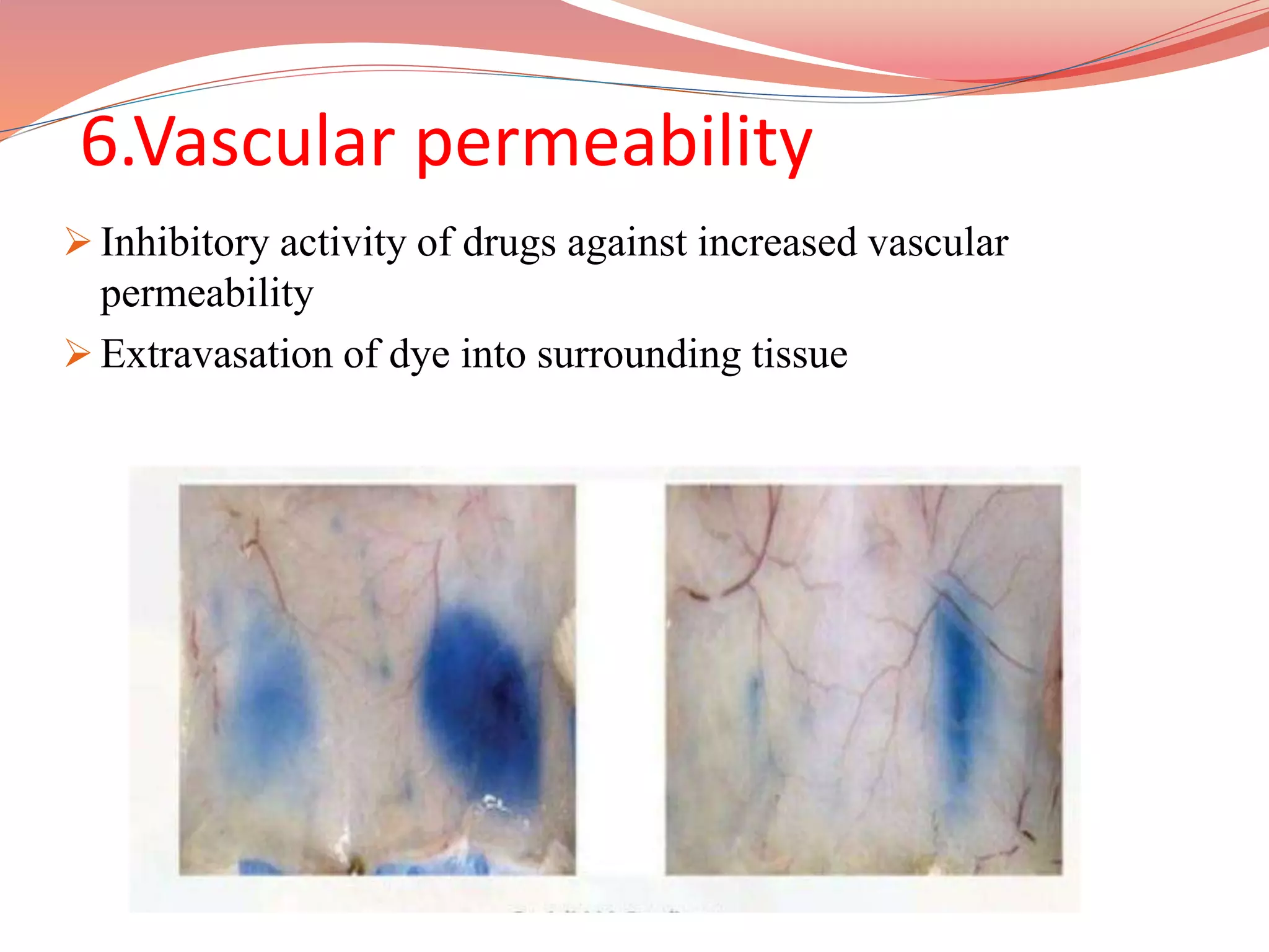 Curated visual reference: Gallery Detail: Screening Methods For Antinflammatory Drugs Slide Share