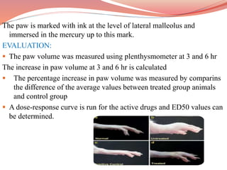 The paw is marked with ink at the level of lateral malleolus and
immersed in the mercury up to this mark.
EVALUATION:
 The paw volume was measured using plenthysmometer at 3 and 6 hr
The increase in paw volume at 3 and 6 hr is calculated
 The percentage increase in paw volume was measured by comparins
the difference of the average values between treated group animals
and control group
 A dose-response curve is run for the active drugs and ED50 values can
be determined.
 