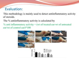 Evaluation:
This methodology is mainly used to detect antiinflammatory activity
of steroids.
The % antiinflammatory activity is calculated by
% anti inflammatory activity = (wt of treated ear-wt of untreated
ear/wt of control ear)*100
 