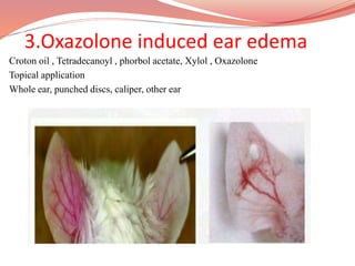 3.Oxazolone induced ear edema
Croton oil , Tetradecanoyl , phorbol acetate, Xylol , Oxazolone
Topical application
Whole ear, punched discs, caliper, other ear
 
