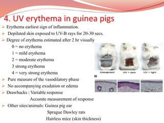 4. UV erythema in guinea pigs
 Erythema earliest sign of inflammation.
 Depilated skin exposed to UV-B rays for 20-30 secs.
 Degree of erythema estimated after 2 hr visually
0 = no erythema
1 = mild erythema
2 = moderate erythema
3 strong erythema
4 = very strong erythema
 Pure measure of the vasodilatory phase
 No accompanying exudation or edema
 Drawbacks : Variable response
Accurate measurement of response
 Other sites/animals: Guinea pig ear
Sprague Dawley rats
Hairless mice (skin thickness)
 