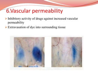 6.Vascular permeability
 Inhibitory activity of drugs against increased vascular
permeability
 Extravasation of dye into surrounding tissue
 