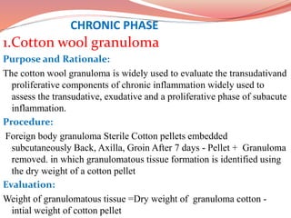 CHRONIC PHASE
1.Cotton wool granuloma
Purpose and Rationale:
The cotton wool granuloma is widely used to evaluate the transudativand
proliferative components of chronic inflammation widely used to
assess the transudative, exudative and a proliferative phase of subacute
inflammation.
Procedure:
Foreign body granuloma Sterile Cotton pellets embedded
subcutaneously Back, Axilla, Groin After 7 days - Pellet + Granuloma
removed. in which granulomatous tissue formation is identified using
the dry weight of a cotton pellet
Evaluation:
Weight of granulomatous tissue =Dry weight of granuloma cotton -
intial weight of cotton pellet
 