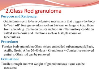 2.Glass Rod granuloma
Purpose and Rationale:
Granulomas seem to be a defensive mechanism that triggers the body
to "wall off" foreign invaders such as bacteria or fungi to keep them
from spreading. Common causes include an inflammatory condition
called sarcoidosis and infections such as histoplasmosis or
tuberculosis.
Procedure:
Foreign body granulomaGlass peices embedded subcutaneouslyBack,
Axilla, Groin. After 20-40 days - Granuloma + Connective removed
entirely. Glass rod can be removed
Evaluation:
Tensile strength and wet weight of granulomatous tissue can be
measured
 