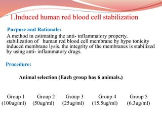 1.Induced human red blood cell stabilization
Purpose and Rationale:
A method in estimating the anti- inflammatory property.
stabilization of human red blood cell membrane by hypo tonicity
induced membrane lysis. the integrity of the membranes is stabilized
by using anti- inflammatory drugs.
Procedure:
Animal selection (Each group has 6 animals.)
Group 1 Group 2 Group 3 Group 4 Group 5
(100ug/ml) (50ug/ml) (25ug/ml) (15.5ug/ml) (6.3ug/ml)
 