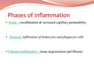 Phases of inflammation
 Acute : vasodilatation & increased capillary permeability
 Delayed: infiltration of leukocytes and phagocyte cells
 Chronic proliferative : tissue degeneration and fibrosis
 
