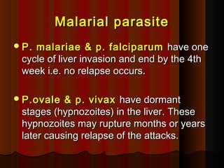 Malarial parasiteMalarial parasite
P. malariae & p. falciparumP. malariae & p. falciparum have onehave one
cycle of liver invasion and end by the 4thcycle of liver invasion and end by the 4th
week i.e. no relapse occurs.week i.e. no relapse occurs.
P.ovale & p. vivaxP.ovale & p. vivax have dormanthave dormant
stages (hypnozoites) in the liver. Thesestages (hypnozoites) in the liver. These
hypnozoites may rupture months or yearshypnozoites may rupture months or years
later causing relapse of the attacks.later causing relapse of the attacks.
 