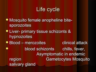 Life cycleLife cycle
Mosquito female anopheline bite-Mosquito female anopheline bite-
sporozoitessporozoites
Liver- primary tissue schizonts &Liver- primary tissue schizonts &
hypnozoiteshypnozoites
Blood – merozoites clinical attackBlood – merozoites clinical attack
 blood schizonts chills, fever,blood schizonts chills, fever,
Asymptomatic in endemicAsymptomatic in endemic
region Gametocytes Mosquitoregion Gametocytes Mosquito
salivary glandsalivary gland
 
