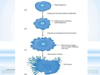 antimicrobial drugs 13
6/25/2023
12
 