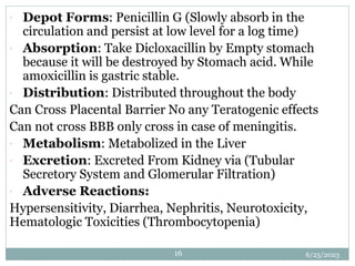 6/25/2023
16
 Depot Forms: Penicillin G (Slowly absorb in the
circulation and persist at low level for a log time)
 Absorption: Take Dicloxacillin by Empty stomach
because it will be destroyed by Stomach acid. While
amoxicillin is gastric stable.
 Distribution: Distributed throughout the body
Can Cross Placental Barrier No any Teratogenic effects
Can not cross BBB only cross in case of meningitis.
 Metabolism: Metabolized in the Liver
 Excretion: Excreted From Kidney via (Tubular
Secretory System and Glomerular Filtration)
 Adverse Reactions:
Hypersensitivity, Diarrhea, Nephritis, Neurotoxicity,
Hematologic Toxicities (Thrombocytopenia)
 