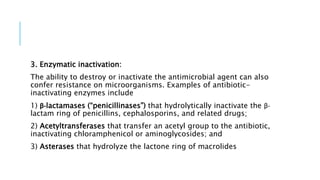 3. Enzymatic inactivation:
The ability to destroy or inactivate the antimicrobial agent can also
confer resistance on microorganisms. Examples of antibiotic-
inactivating enzymes include
1) β-lactamases (“penicillinases”) that hydrolytically inactivate the β-
lactam ring of penicillins, cephalosporins, and related drugs;
2) Acetyltransferases that transfer an acetyl group to the antibiotic,
inactivating chloramphenicol or aminoglycosides; and
3) Asterases that hydrolyze the lactone ring of macrolides
 