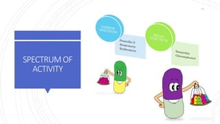 SPECTRUMOF
ACTIVITY
16
 