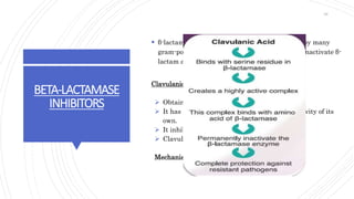 BETA-LACTAMASE
INHIBITORS
 β-lactamases are a family of enzymes produced by many
gram-positive and gram-negative bacteria that inactivate β-
lactam antibiotics by opening the β-lactam ring.
Clavulanic acid:
 Obtained from Streptomyces clavuligerus.
 It has a β-lactam ring but no antibacterial activity of its
own.
 It inhibits a wide variety of β-lactamases..
 Clavulanic acid is a ‘progressive’ inhibitor
Mechanism Of Action
28
 