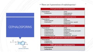 CEPHALOSPORINS
 There are 5 generations of cephalosporins:-
Ceftobiparole
Ceftaroline
Fifth generation cephalosporins
34
 