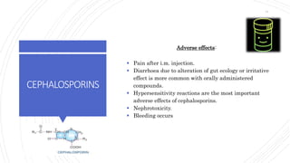 CEPHALOSPORINS
Adverse effects:
 Pain after i.m. injection.
 Diarrhoea due to alteration of gut ecology or irritative
effect is more common with orally administered
compounds.
 Hypersensitivity reactions are the most important
adverse effects of cephalosporins.
 Nephrotoxicity.
 Bleeding occurs
41
 