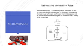 METRONIDAZOLE
44
 