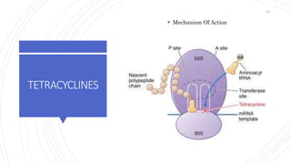 TETRACYCLINES
 Mechanism Of Action
60
 