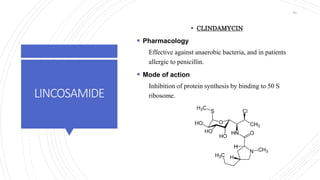 LINCOSAMIDE
 CLINDAMYCIN
 Pharmacology
Effective against anaerobic bacteria, and in patients
allergic to penicillin.
 Mode of action
Inhibition of protein synthesis by binding to 50 S
ribosome.
80
 
