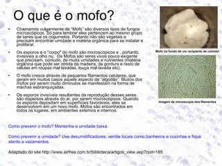 O que é o mofo? Chamamos vulgarmente de “Mofo” são diversos tipos de fungos microscópicos. Só para lembrar eles pertencem ao mesmo grupo de seres que os cogumelos. Portanto não são vegetais e precisam encontrar umidade e matéria orgânica para se instalar e proliferar. Os esporos e o "corpo" do mofo são microscópicos e , portanto,  invisíveis a olho nu.  Os Mofos são seres vivos pouco exigente que precisam, contudo, de muita umidades e nutrientes (matéria orgânica que pode ser obtida da madeira, da gordura e resto de células em roupas mal lavadas, louça mal lavada etc). O mofo cresce através de pequenos filamentos celulares, que geram em muitos casos aquele aspecto de “algodão”. Muitos dos mofos por serem muito diminutos se manifestam na forma de machas esbranquiçadas.  Os esporos invisíveis resultantes da reprodução desses seres,  são dispersos através do ar, por serem microscópicos. Quando os esporos depositam em superfícies favoráveis, eles se desenvolvem em um novo mofo. Mofos são encontrados em todos os lugares, em ambientes externos e internos. Mofo no fundo de um recipiente de comida! Imagem de microscopia dos filamentos Como prevenir o mofo? Mantenha a umidade baixa. Como prevenir a umidade? Use desumidificadores, ventile locais como banheiros e cozinhas e fique atento a vazamentos.  Adaptado do site http://www.airfree.com.br/biblioteca/artigos_view.asp?cod=185 