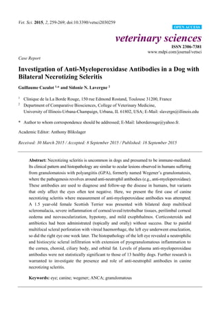 Vet. Sci. 2015, 2, 259-269; doi:10.3390/vetsci2030259
veterinary sciences
ISSN 2306-7381
www.mdpi.com/journal/vetsci
Case Report
Investigation of Anti-Myeloperoxidase Antibodies in a Dog with
Bilateral Necrotizing Scleritis
Guillaume Cazalot 1,
* and Sidonie N. Lavergne 2
1
Clinique de la La Borde Rouge, 150 rue Edmond Rostand, Toulouse 31200, France
2
Department of Comparative Biosciences, College of Veterinary Medicine,
University of Illinois-Urbana-Champaign, Urbana, IL 61802, USA; E-Mail: slavergn@illinois.edu
* Author to whom correspondence should be addressed; E-Mail: laborderouge@yahoo.fr.
Academic Editor: Anthony Blikslager
Received: 30 March 2015 / Accepted: 8 September 2015 / Published: 18 September 2015
Abstract: Necrotizing scleritis is uncommon in dogs and presumed to be immune-mediated.
Its clinical pattern and histopathology are similar to ocular lesions observed in humans suffering
from granulomatosis with polyangiitis (GPA), formerly named Wegener’s granulomatosis,
where the pathogenesis revolves around anti-neutrophil antibodies (e.g., anti-myeloperoxidase).
These antibodies are used to diagnose and follow-up the disease in humans, but variants
that only affect the eyes often test negative. Here, we present the first case of canine
necrotizing scleritis where measurement of anti-myeloperoxidase antibodies was attempted.
A 1.5 year-old female Scottish Terrier was presented with bilateral deep multifocal
scleromalacia, severe inflammation of corneal/uveal/retrobulbar tissues, perilimbal corneal
oedema and neovascularization, hypotony, and mild exophthalmos. Corticosteroids and
antibiotics had been administrated (topically and orally) without success. Due to painful
multifocal scleral perforation with vitreal haemorrhage, the left eye underwent enucleation,
so did the right eye one week later. The histopathology of the left eye revealed a neutrophilic
and histiocytic scleral infiltration with extension of pyogranulomatous inflammation to
the cornea, choroid, ciliary body, and orbital fat. Levels of plasma anti-myeloperoxidase
antibodies were not statistically significant to those of 13 healthy dogs. Further research is
warranted to investigate the presence and role of anti-neutrophil antibodies in canine
necrotizing scleritis.
Keywords: eye; canine; wegener; ANCA; granulomatous
OPEN ACCESS
 