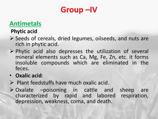 Group –IV
Antimetals
Phytic acid
 Seeds of cereals, dried legumes, oilseeds, and nuts are
rich in phytic acid.
 Phytic acid also depresses the utilization of several
mineral elements such as Ca, Mg, Fe, Zn, etc. it forms
insoluble compounds which are eliminated in the
feces.
• Oxalic acid:
 Plant feedstuffs have much oxalic acid.
 Oxalate –poisoning in cattle and sheep are
characterized by rapid and labored respiration,
depression, weakness, coma, and death.
 