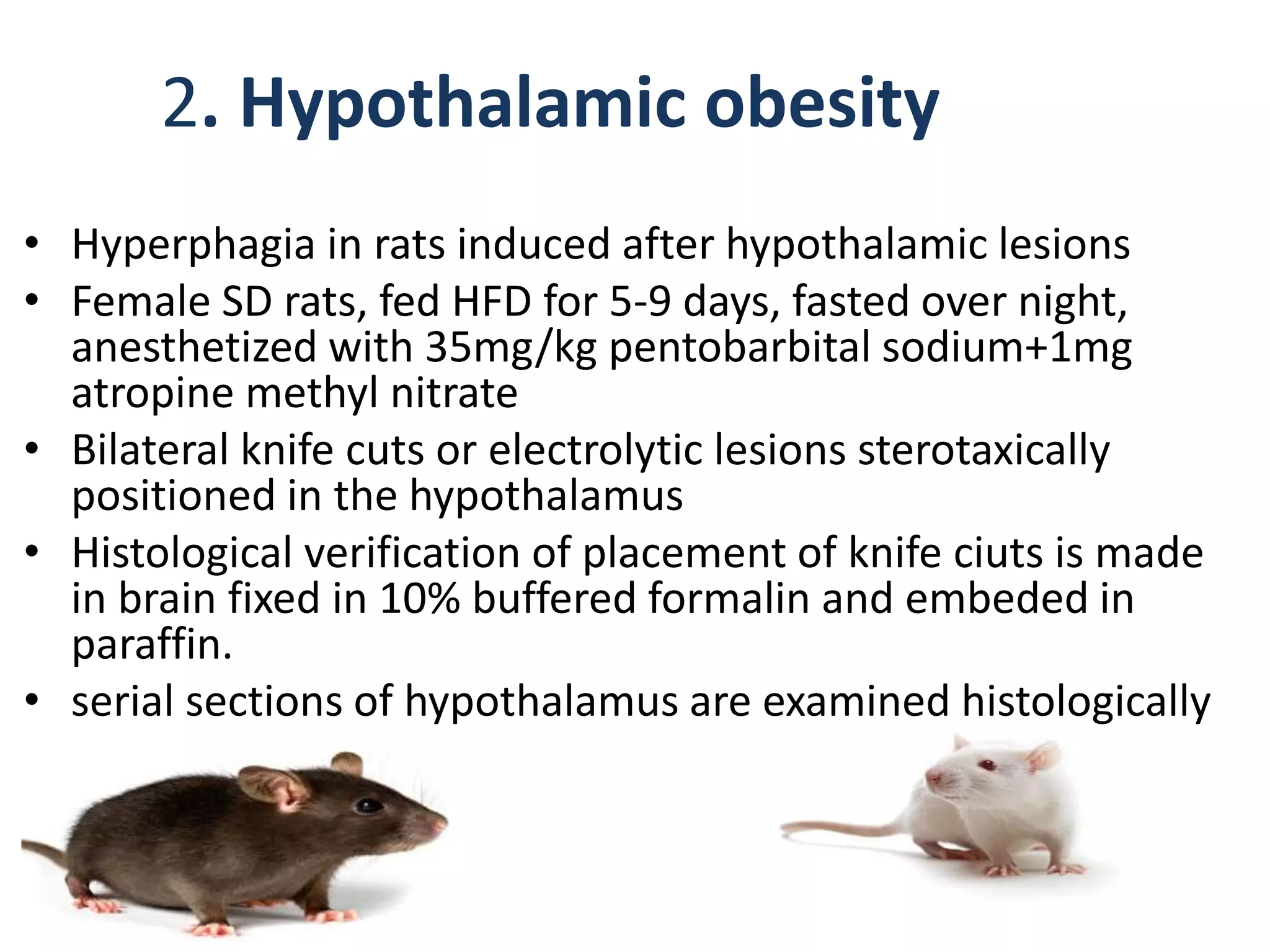 Anti obesity screening models | PPTX