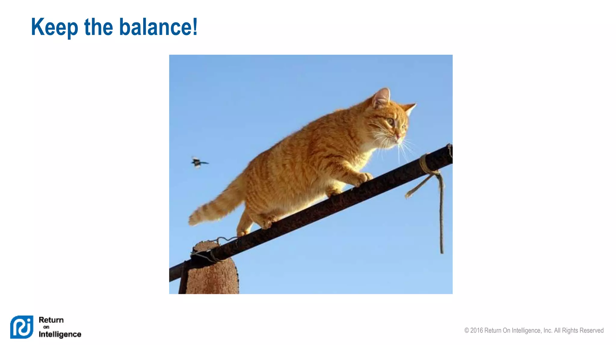 © 2016 Return On Intelligence, Inc. All Rights Reserved
Keep the balance!
 