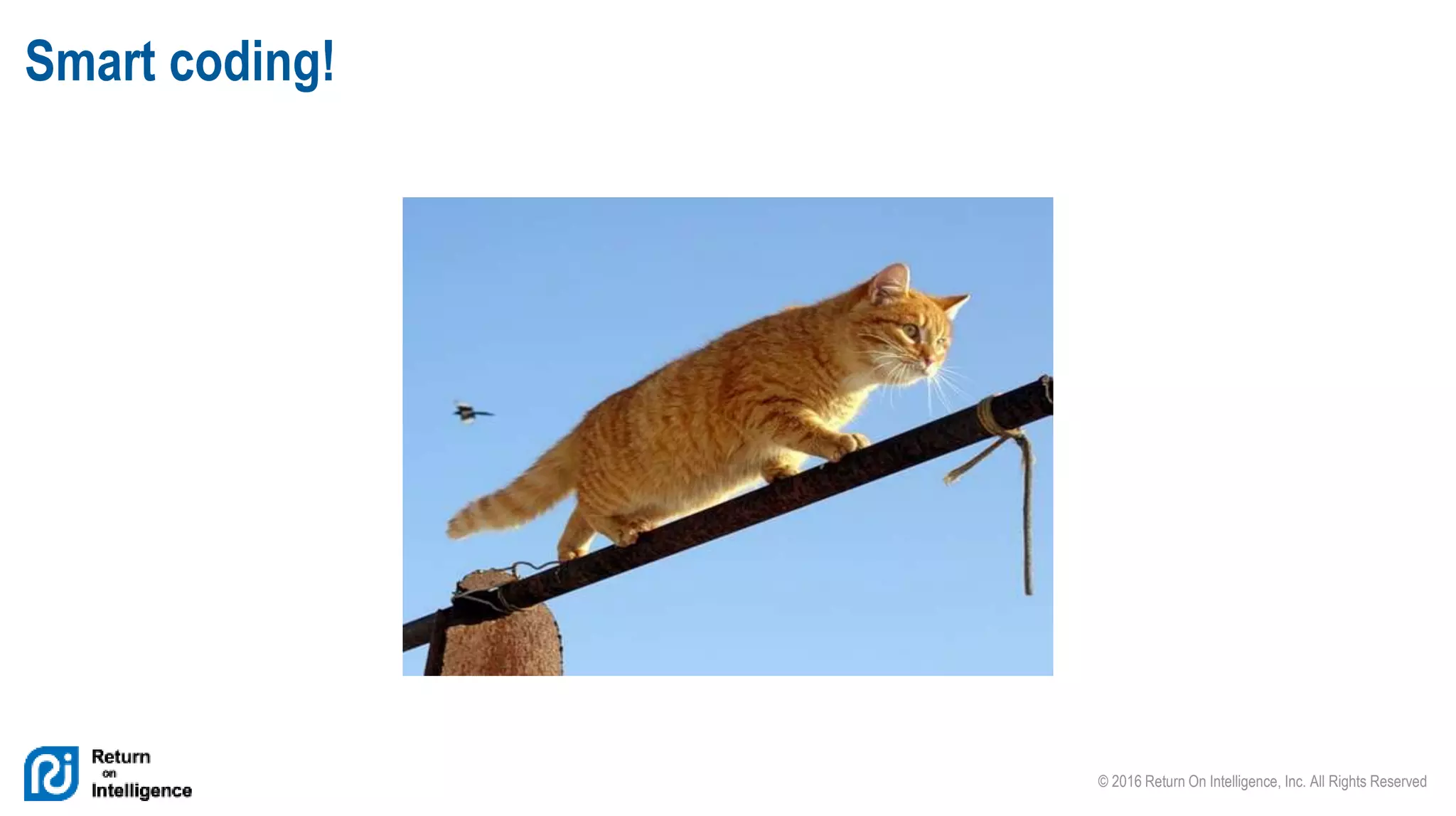 © 2016 Return On Intelligence, Inc. All Rights Reserved
Smart coding!
 