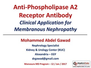 Anti-Phospholipase A2
Receptor Antibody
Clinical Application for
Membranous Nephropathy
Mohammed Abdel Gawad
Nephrology Specialist
Kidney & Urology Center (KUC)
Alexandria – EGY
drgawad@gmail.com
Mansoura MD Program – 12 / Jan / 2017
 