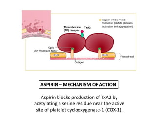 Aspirin blocks production of TxA2 by
acetylating a serine residue near the active
site of platelet cyclooxygenase-1 (COX-1).
ASPIRIN – MECHANISM OF ACTION
 
